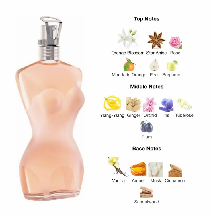 Jean Paul Gaultier Classique Eau de Toilette 100ml